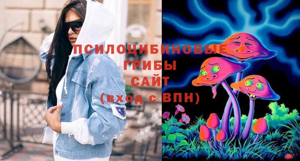 дмт Богданович